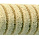 Bacteria Home Spiral