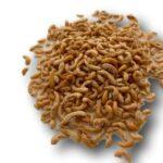 Gammarus 225 g