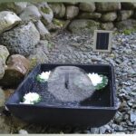 Pondteam solcelle springvandspumpe 600l/t